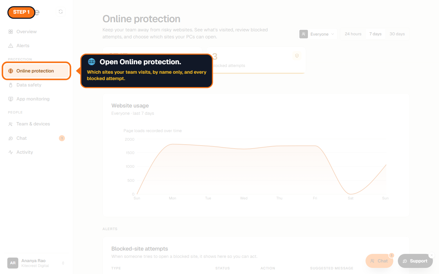 Online protection highlighted in the sidebar