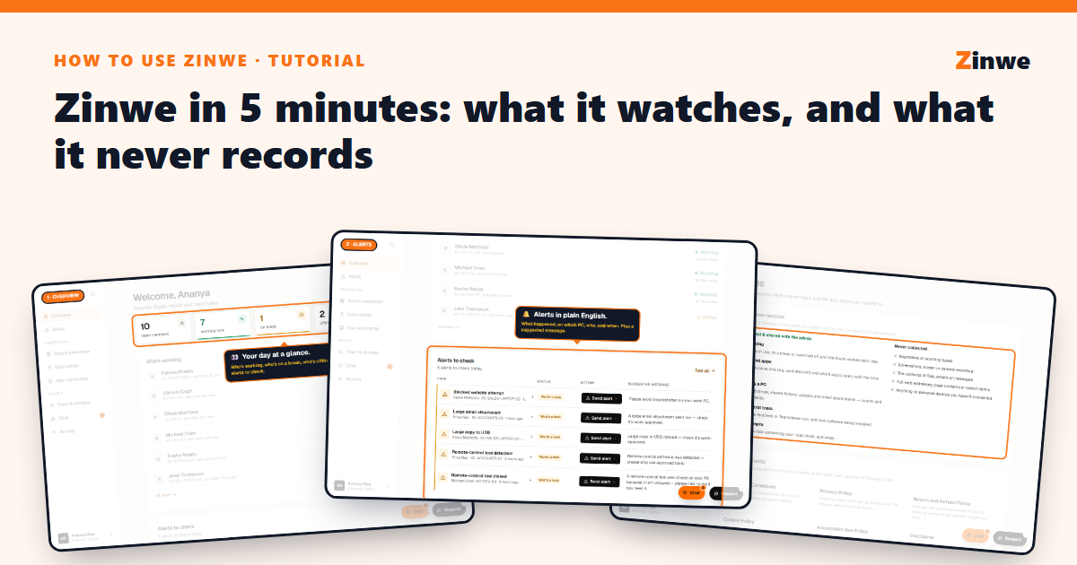 Three Zinwe screens: the overview tiles, the alerts list and what Zinwe never records.
