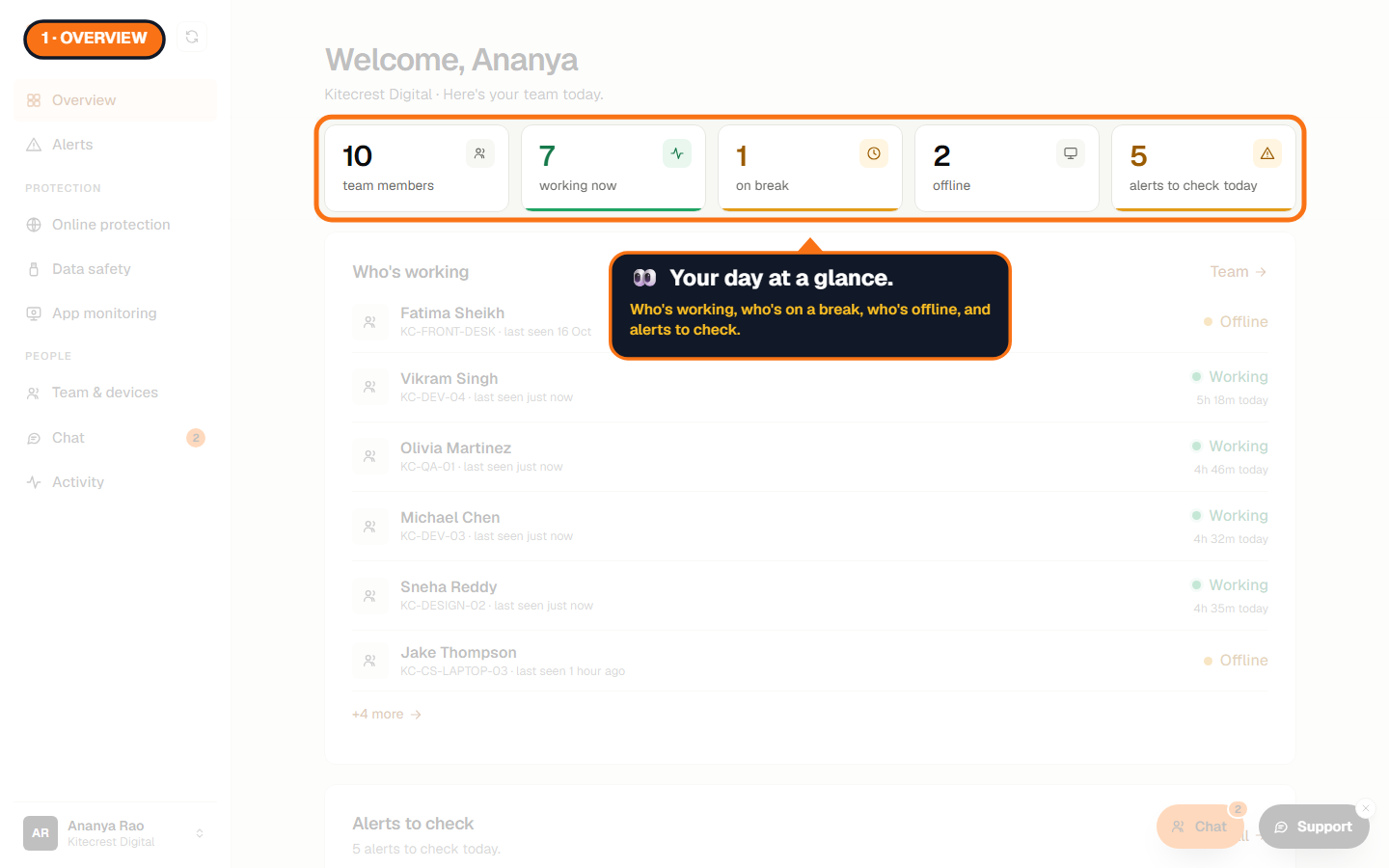 The Overview tiles: team members, working now, on break, offline, alerts to check